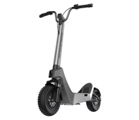 STREETBOOSTER Pollux - hulajnoga elektryczna | Srebrna