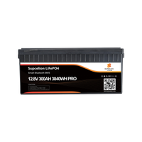 Akumulator LiFePO4 Futurtron SCB-12V-300AH PRO