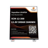 Akumulator LiFePO4 Futurtron SCM-12V-300AH w metalowej obudowie