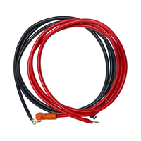 ePropulsion - Kabel wyjściowy akumulatora E - 1.5m (dodatni & ujemny)